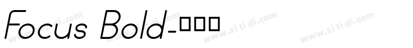 Focus Bold字体转换